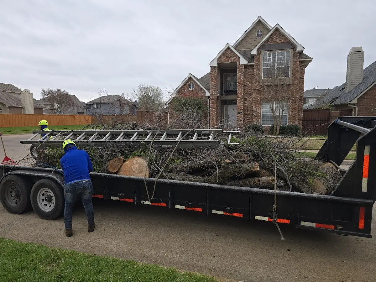 Expert Lot Clearing with proper safety equipment in Huntington Mills
